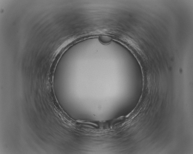 X0000062141308200601060913