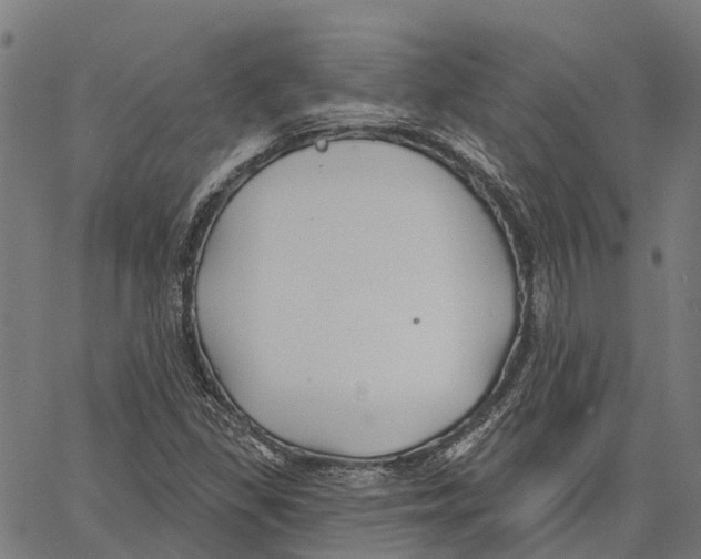 X0000062141309200601060913