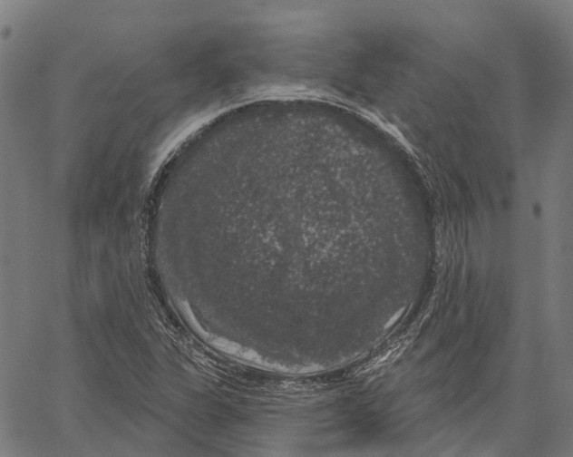 X0000062141311200601060913