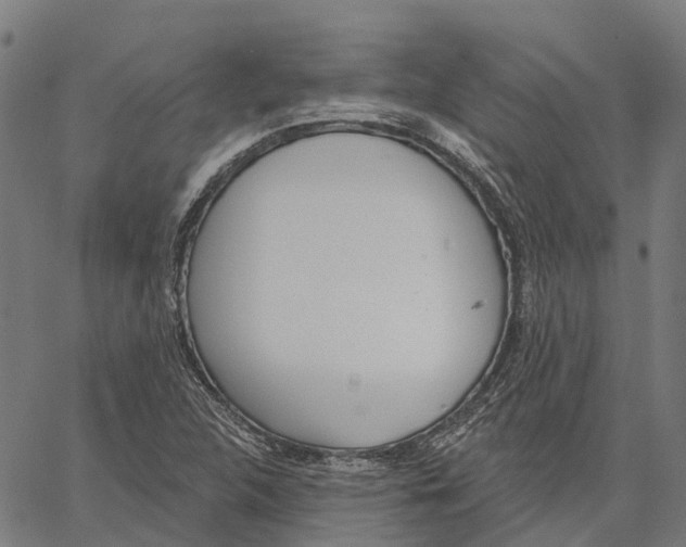 X0000062141312200601060913