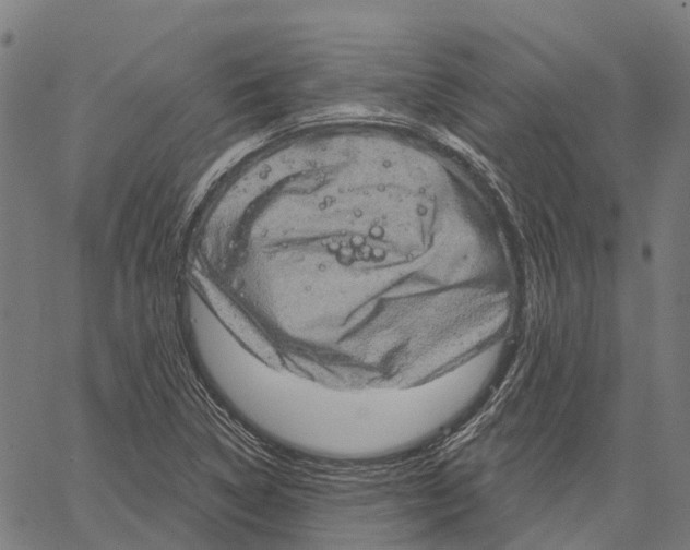 X0000062141314200601060913