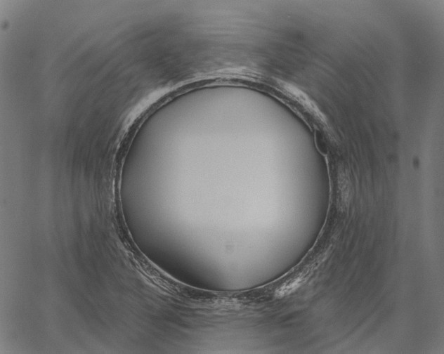 X0000062141316200601060913