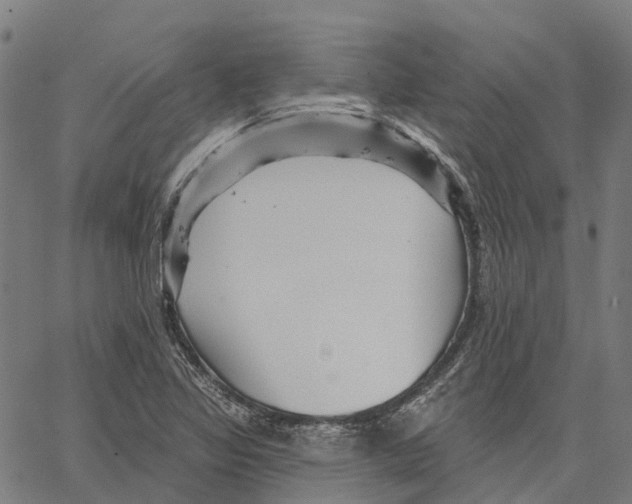 X0000062141317200601060913