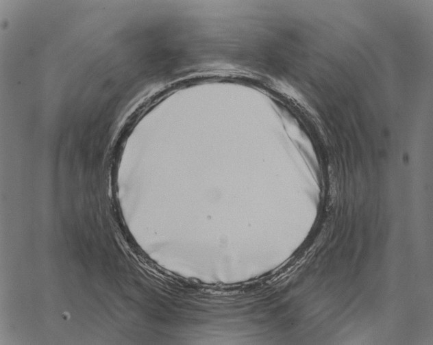 X0000062141318200601060913