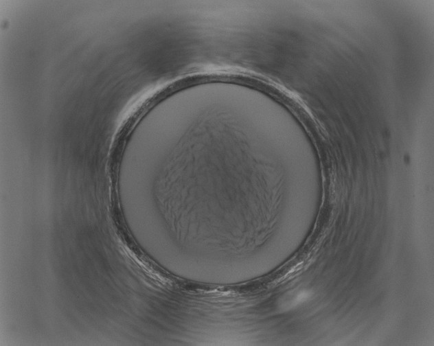 X0000062141319200601060913