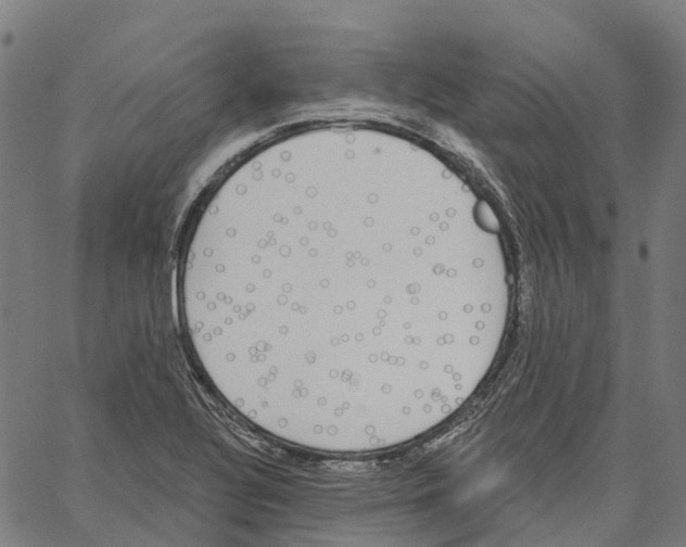 X0000062141320200601060913