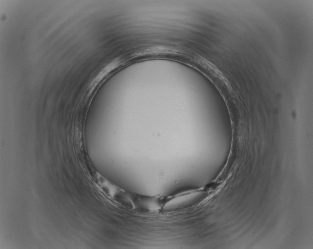 X0000062141321200601060913