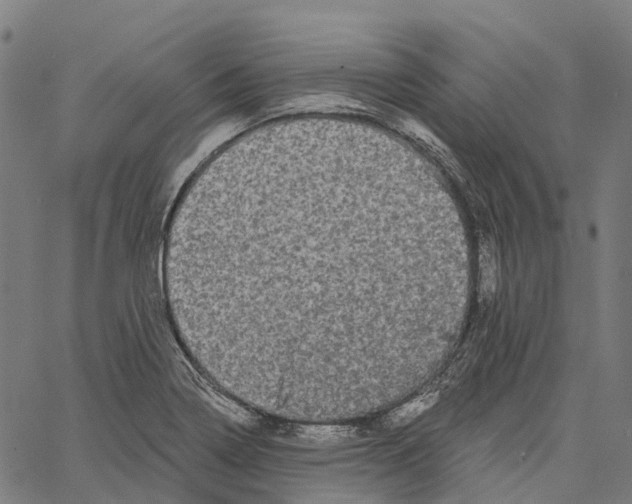 X0000062141322200601060913