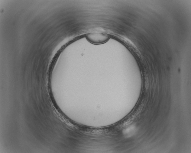 X0000062141326200601060913