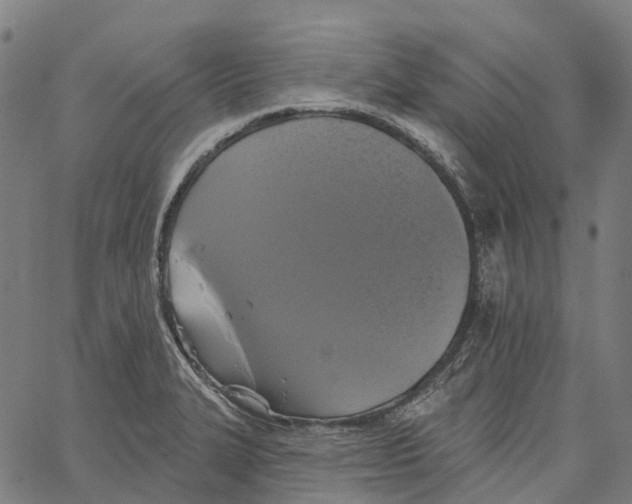 X0000062141327200601060913