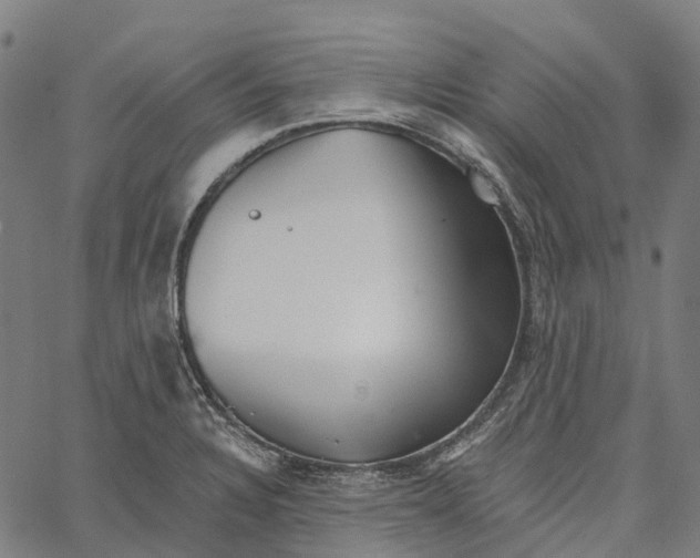 X0000062141328200601060913