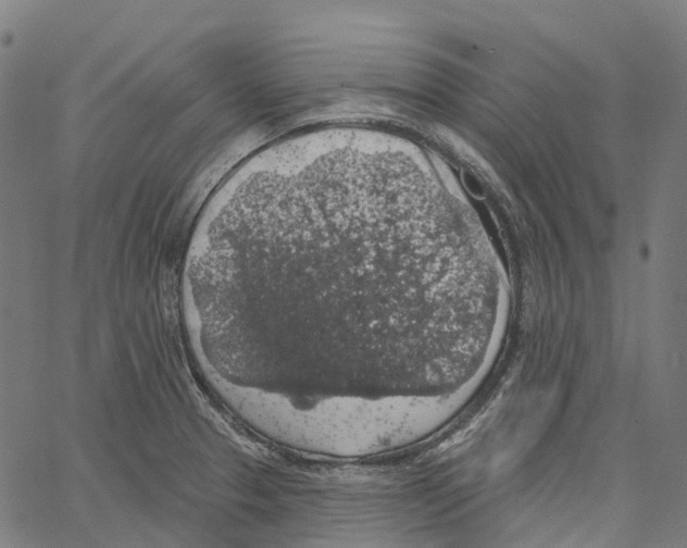 X0000062141329200601060913