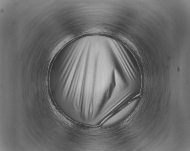 X0000062141330200601060913