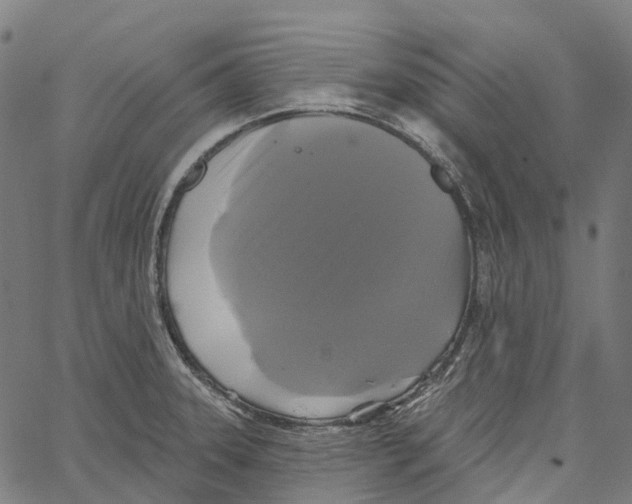 X0000062141331200601060913