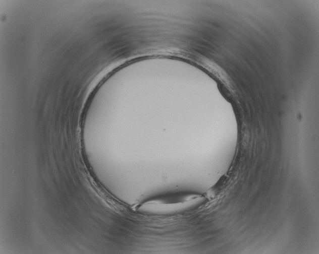 X0000062141332200601060913