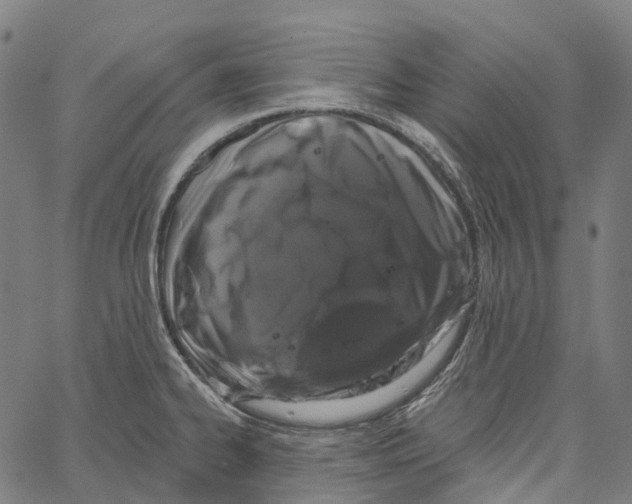 X0000062141334200601060913