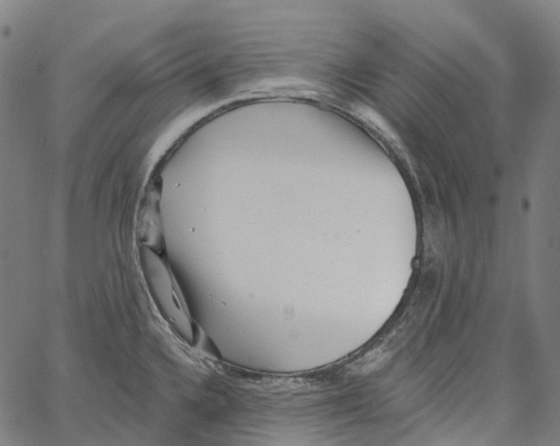 X0000062141336200601060913