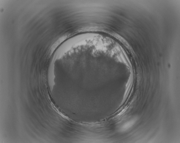 X0000062141337200601060913