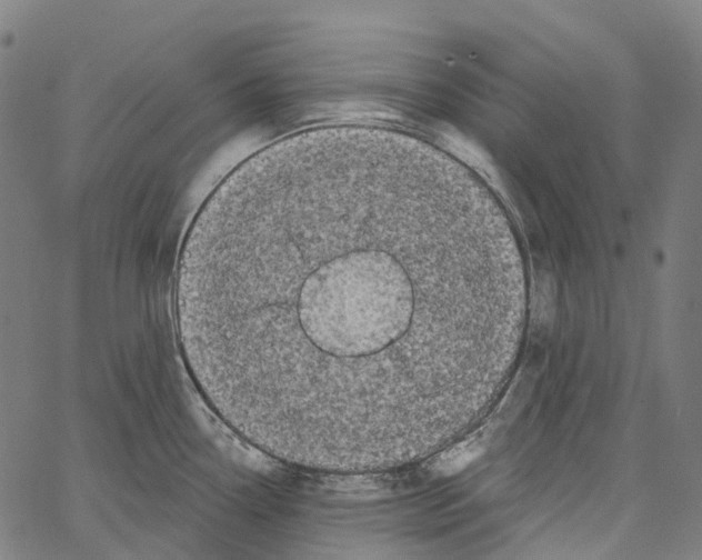 X0000062141338200601060913