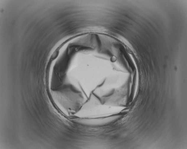 X0000062141339200601060913