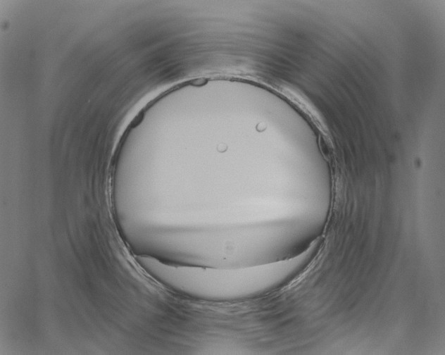 X0000062141340200601060913