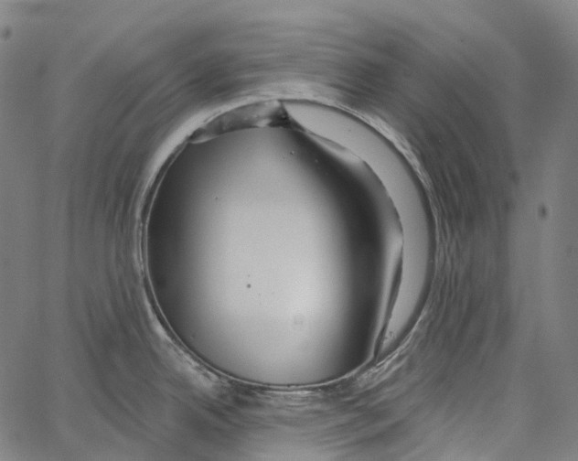 X0000062141342200601060913