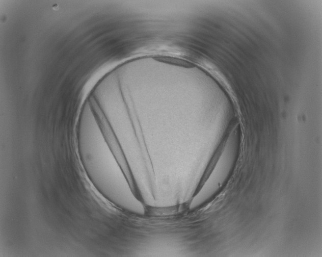 X0000062141344200601060913