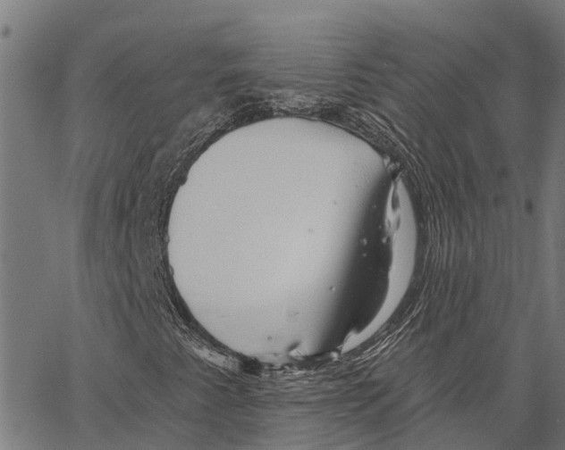 X0000062141345200601060912