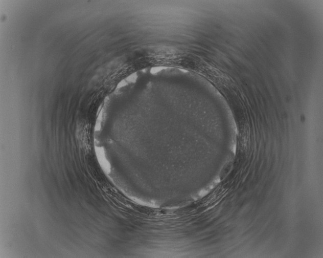 X0000062141346200601060912