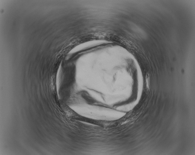 X0000062141347200601060912