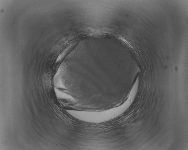 X0000062141348200601060912