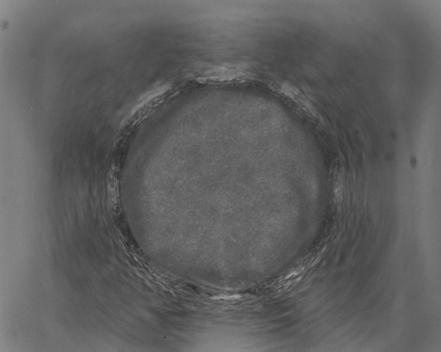 X0000062141350200601060912