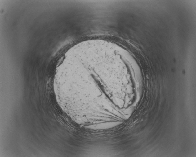 X0000062141351200601060912