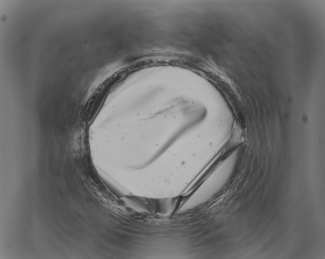 X0000062141352200601060912