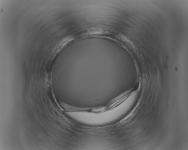 X0000062141353200601060912