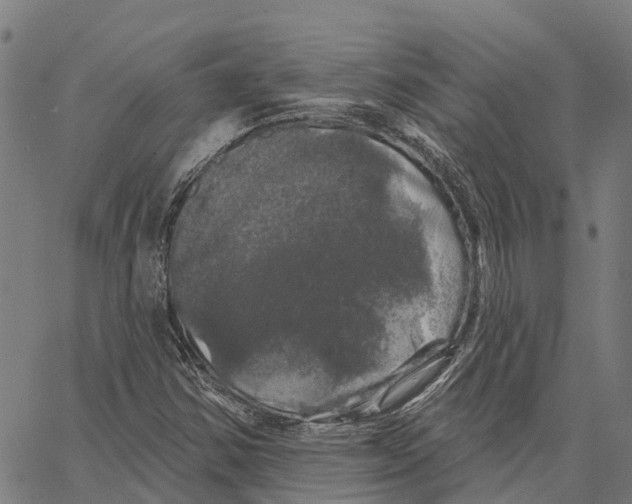 X0000062141354200601060912