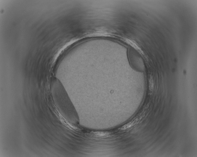 X0000062141356200601060912