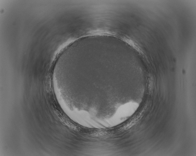 X0000062141358200601060912