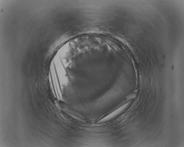 X0000062141359200601060912