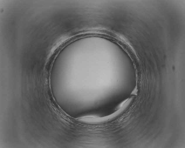 X0000062141360200601060912