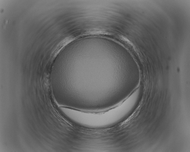 X0000062141361200601060912