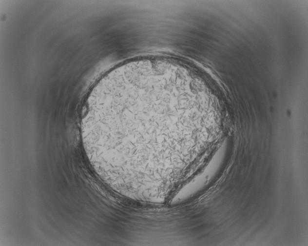 X0000062141363200601060912