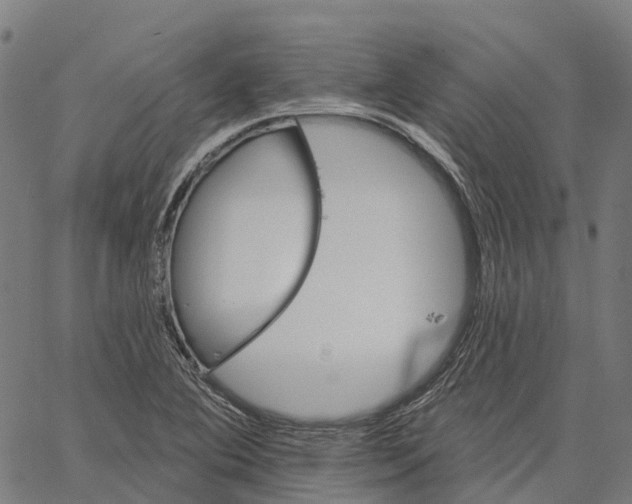 X0000062141364200601060912