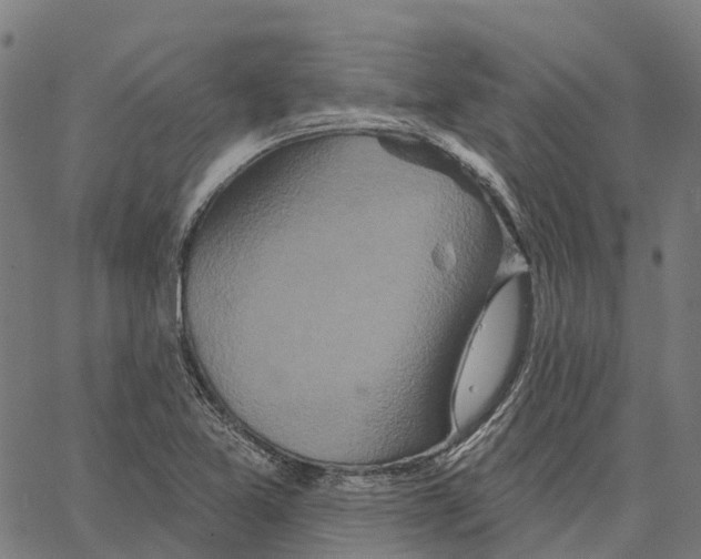 X0000062141365200601060912