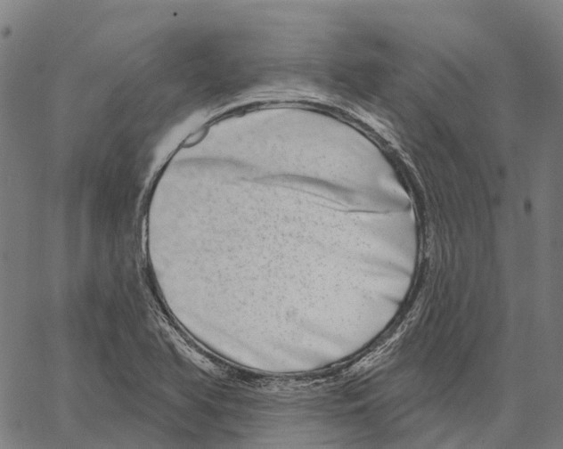 X0000062141366200601060912