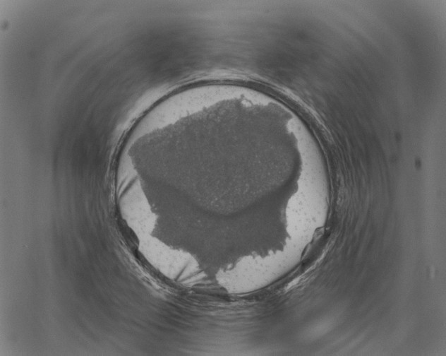 X0000062141367200601060912