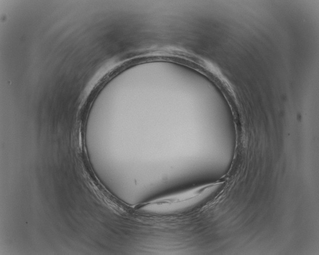 X0000062141368200601060912