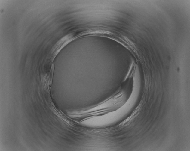 X0000062141369200601060912