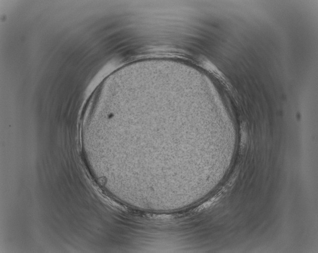 X0000062141370200601060912