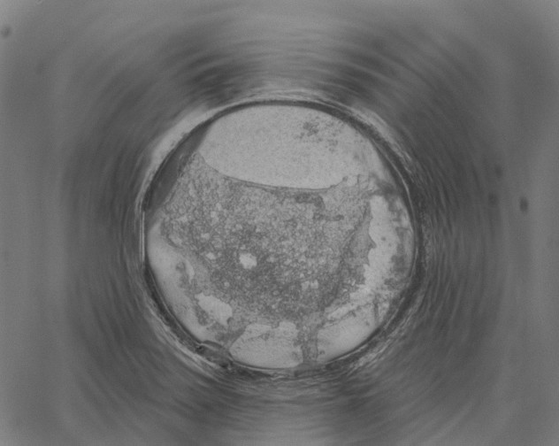 X0000062141371200601060912